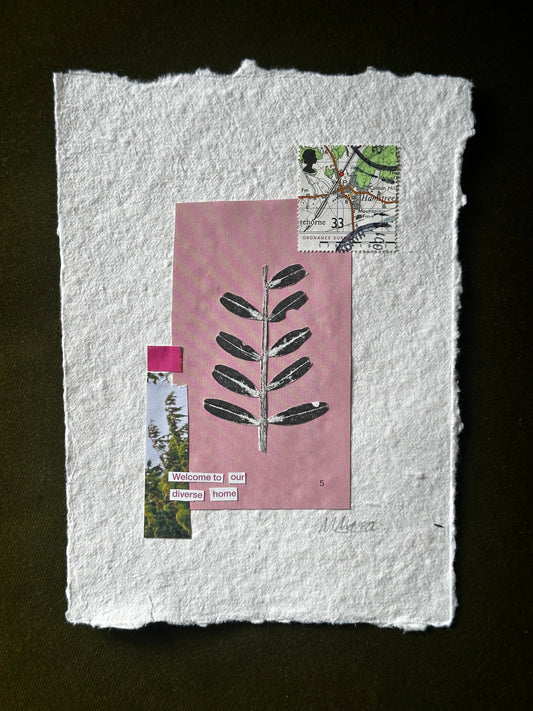 Collage on textured white paper with pink background and black feather-like shapes