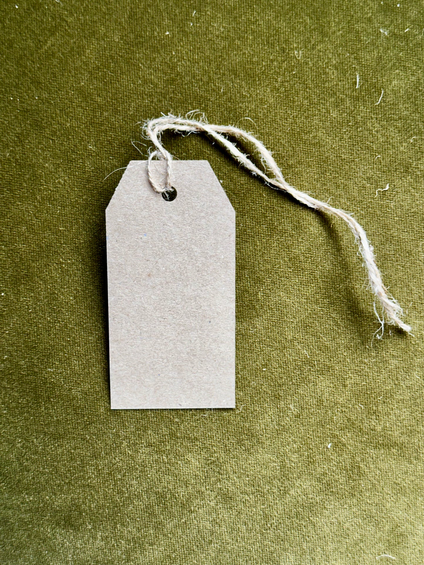Blue Fish Lino Printed Gift Tag